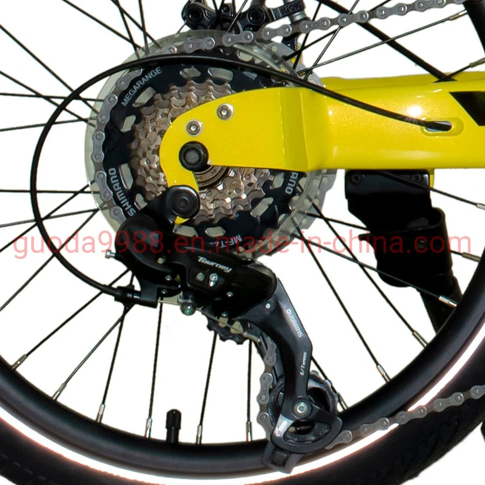 20 Inch Folding Fat Tire Electric Bike Adult Electric Bicycle
