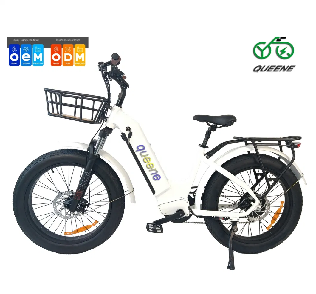 Queene/Full Suspension Motorized Electric City Bike Adult E Electric Road Sports Bikes Bicycle