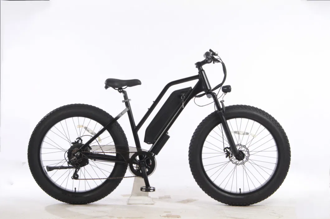 2023 Hot Selling Durable Wholesale Electric Bike High Performance Electric Bicycle