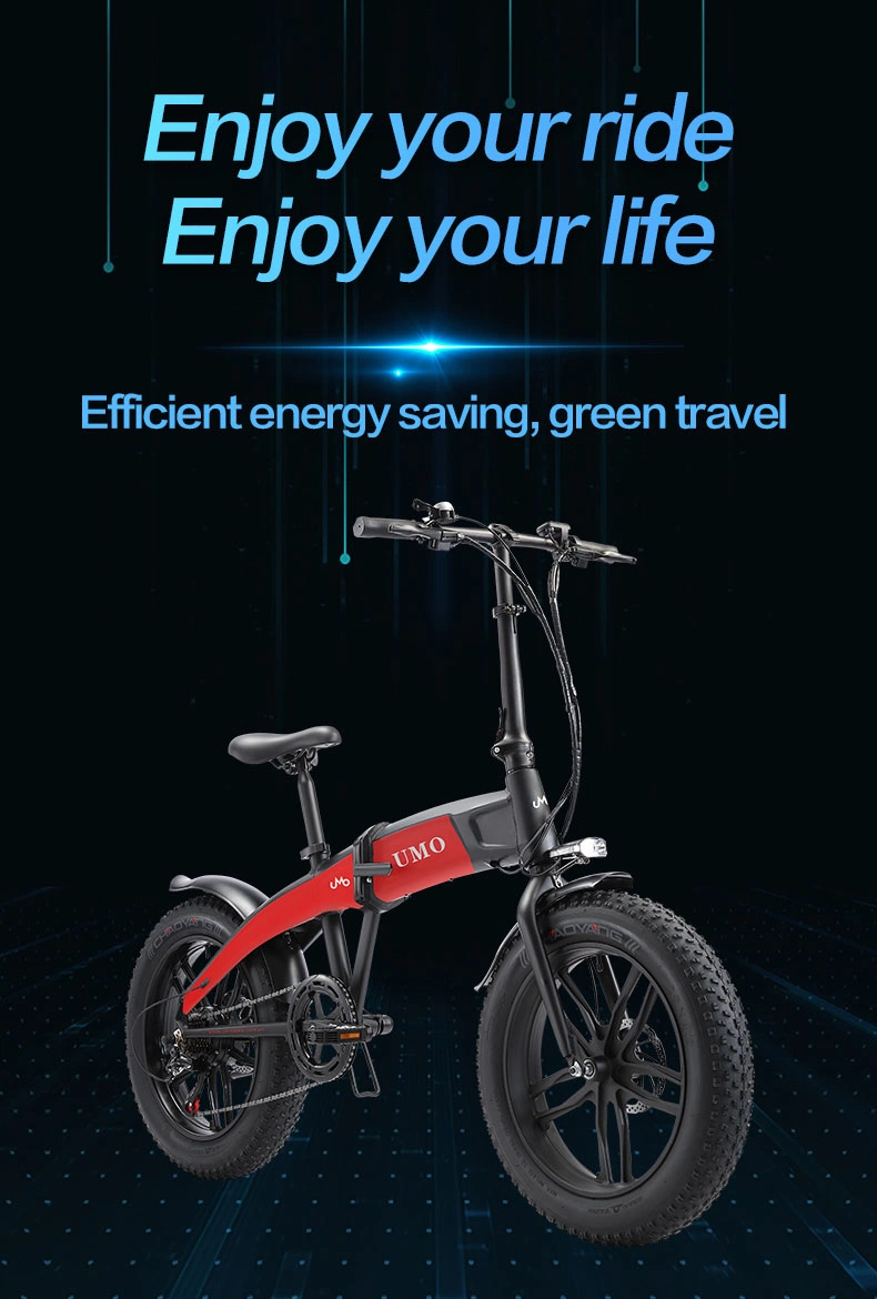 Electric Bikes 350W 48V Electrical Bike Folding Ebike Electric MTB Bike 500W 7speed