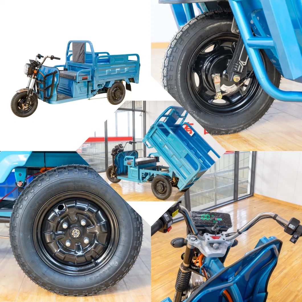 Electric Cargo Tricycle Factory Hot Selling 3 Wheel Electric Trike for Cargo