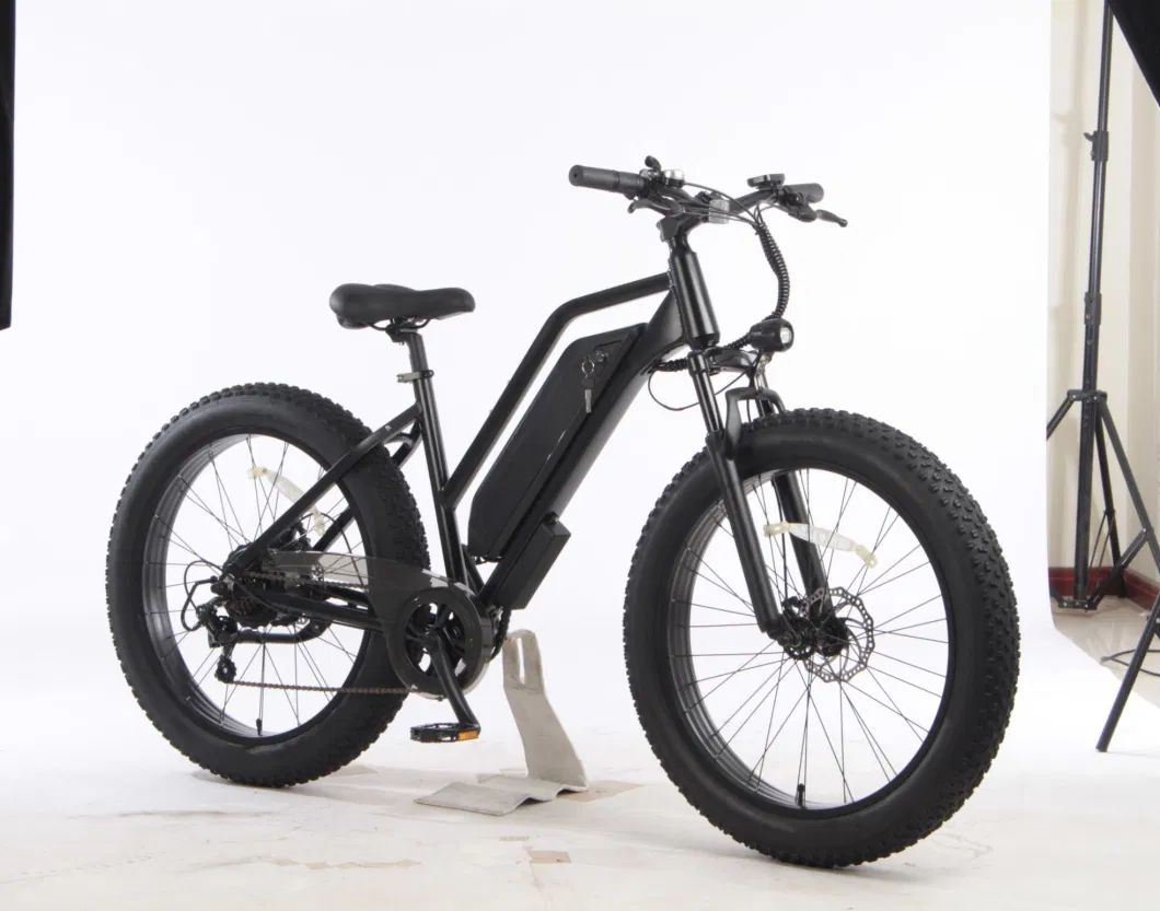 2023 Hot Selling Durable Wholesale Electric Bike High Performance Electric Bicycle