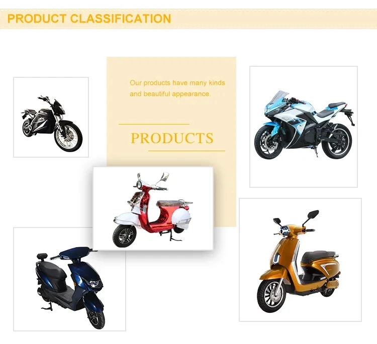Hot Sale Electric Motorcycle in China Electric Scooter Electirc Motorbike E Motorcycles