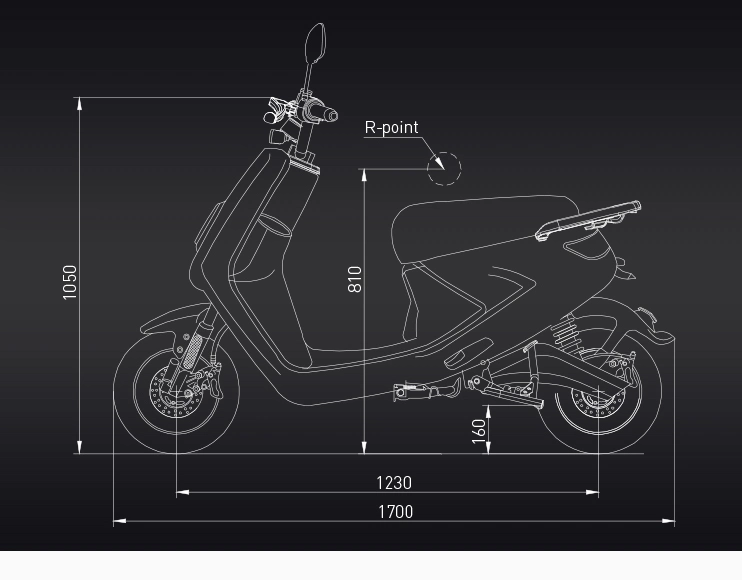 E-Scooter 1440 Watt Electric Scooter Motorcycle with Lithium Battery