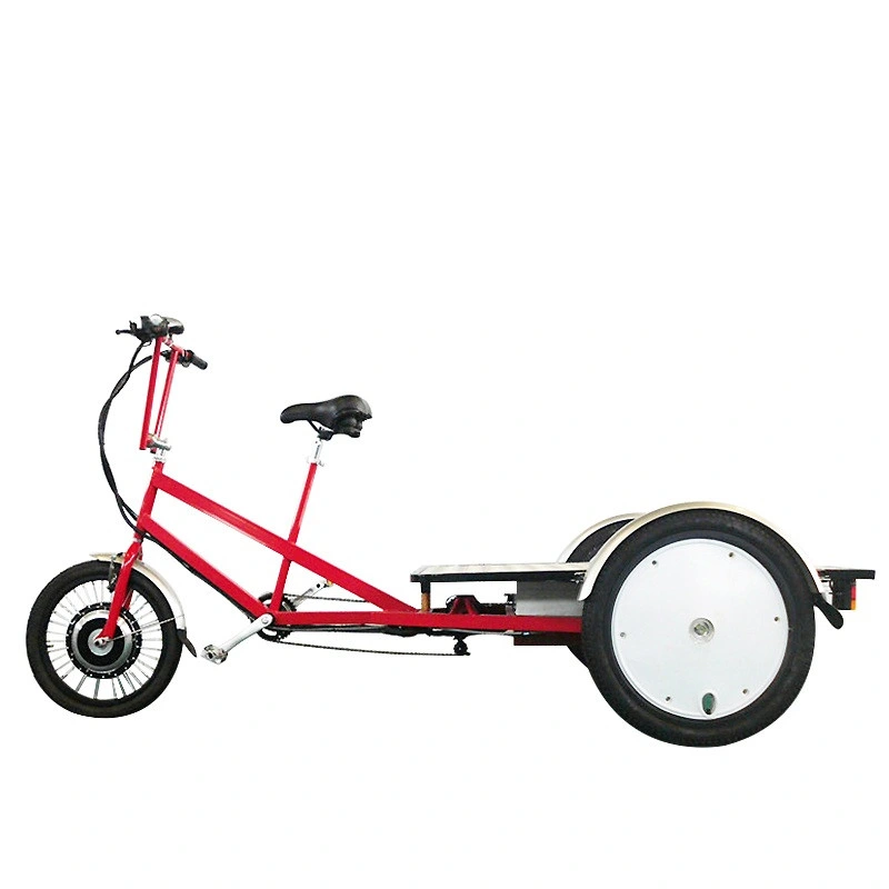 3 Wheels Electric Flatbed Trike Bike Used for Cargo Transportation