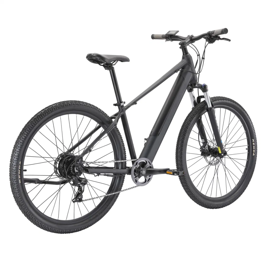 Factory Directly Commute Used Adult 20inch Electric Mountain Bikes