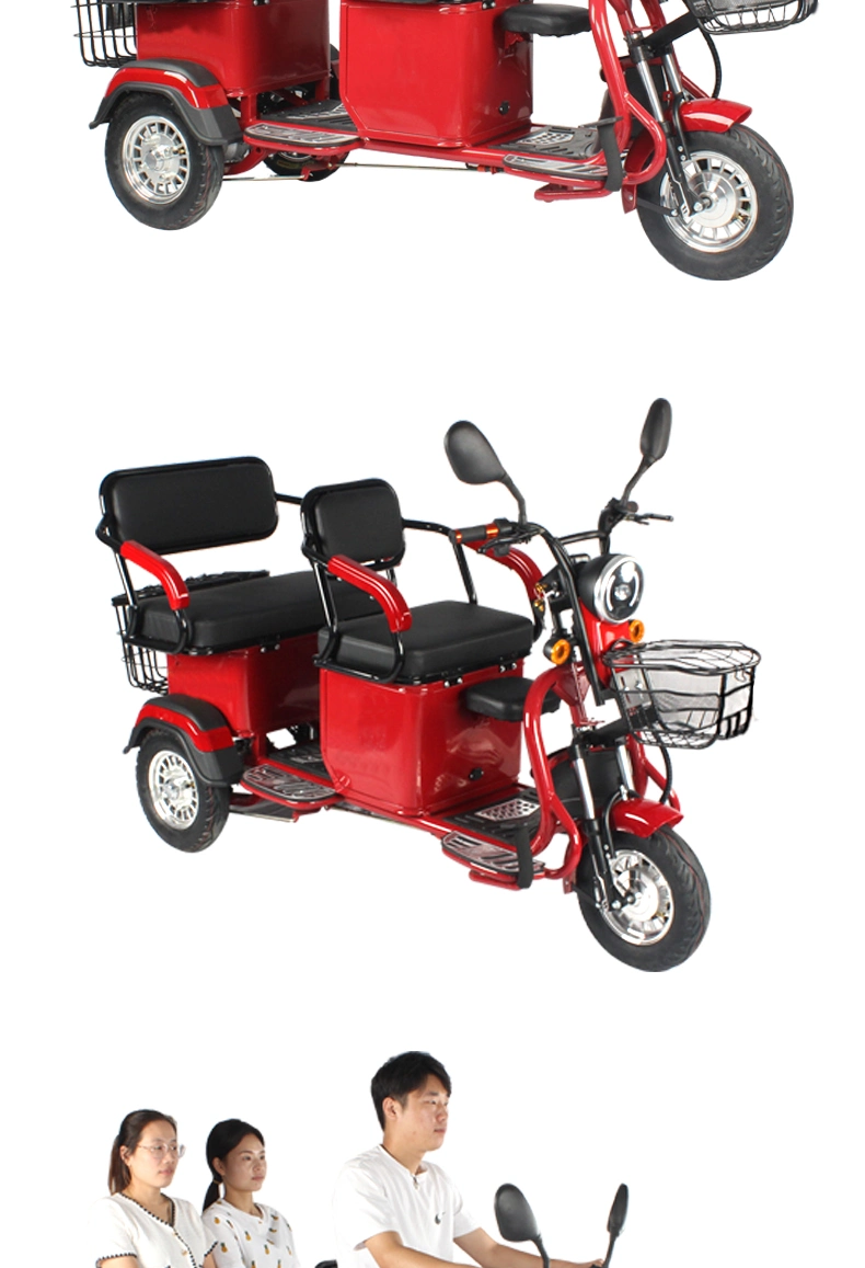 Powerful 3 Wheel Electric Trike for Adults