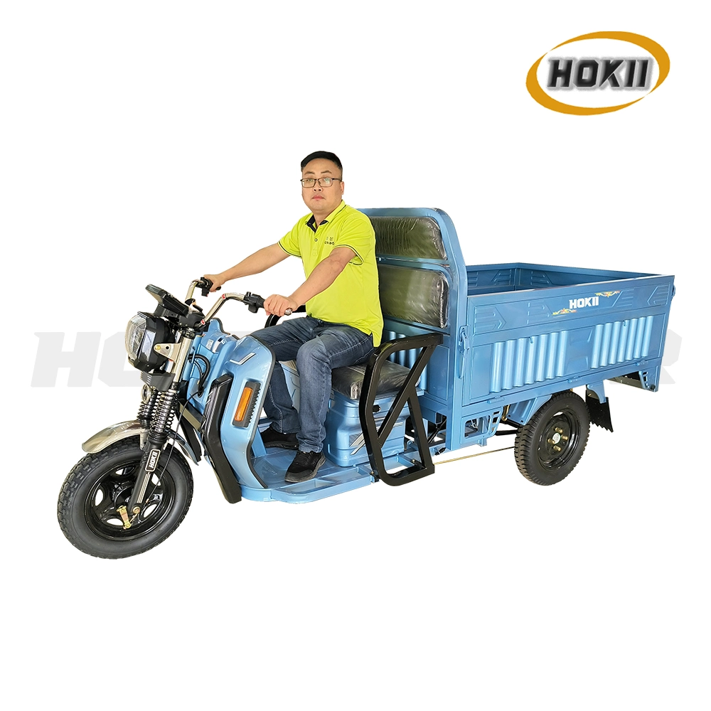 China Triciclo Manufacturer Produced New Design 1200W Motor Adult Use Electric Cargo Tricycle 3 Wheel for Sale