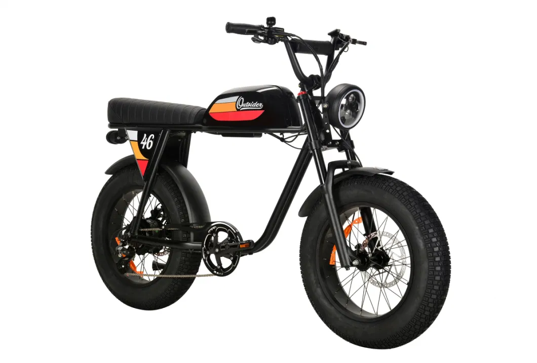 MTB Electric Bike motorcycle Pedalec Bike Motorized 750W 48V Dual Battery Ebike