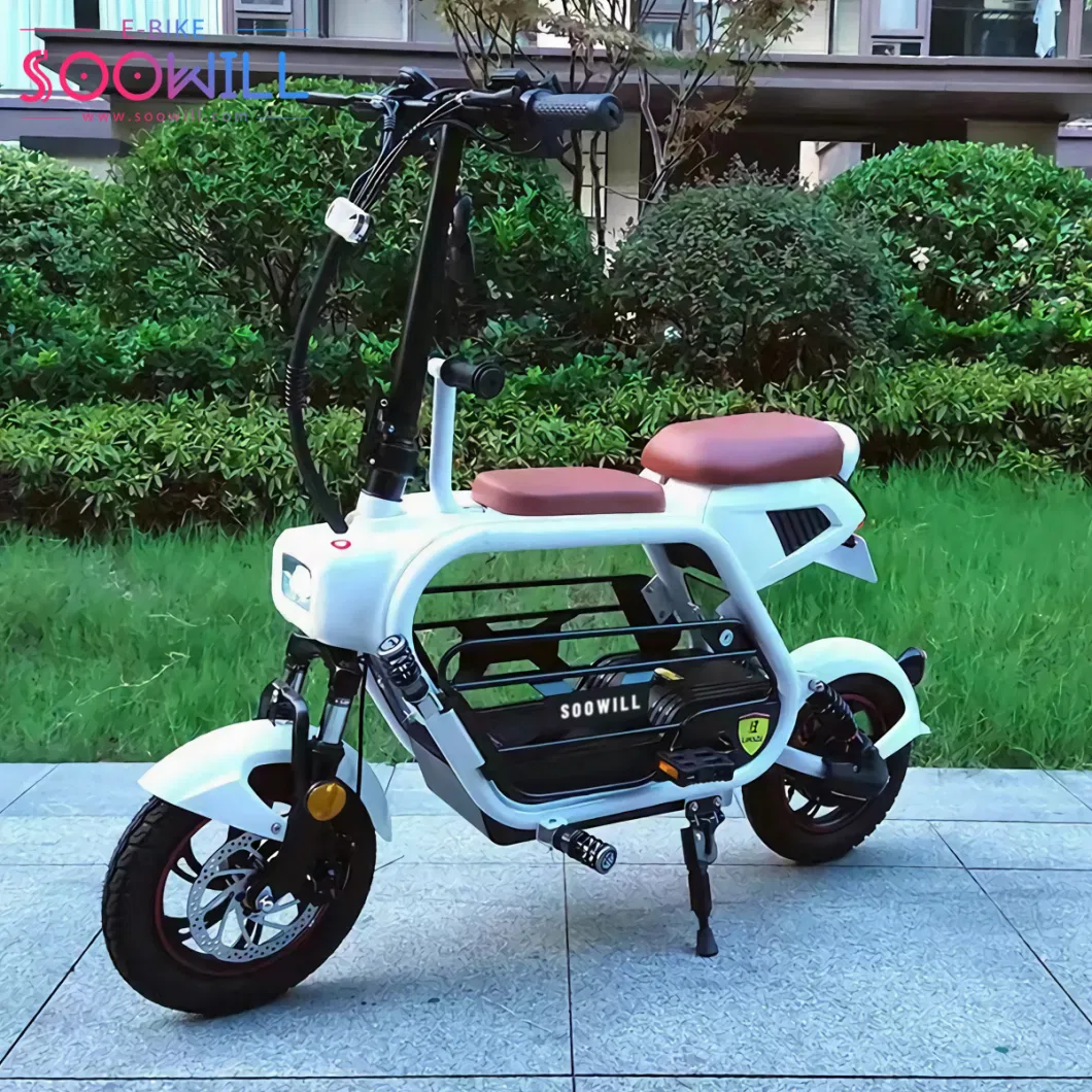 E-Bike 48V 12ah Pet Carrier E-Bike Lithium Battery Electric Scooter Ebike