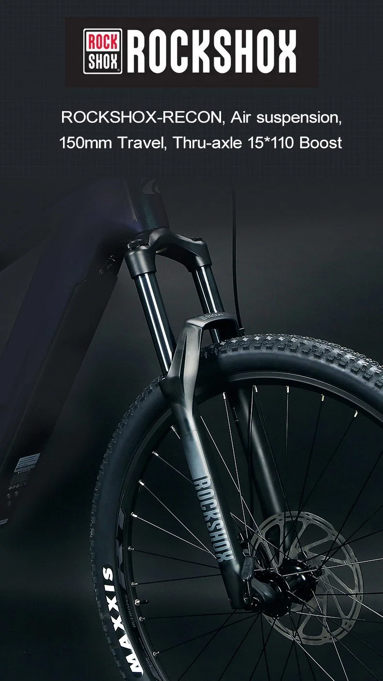 Ultralight Carbon Fiber Bike 250W MID Drive Full Suspension Battery Cycle Electric Mountain Bike