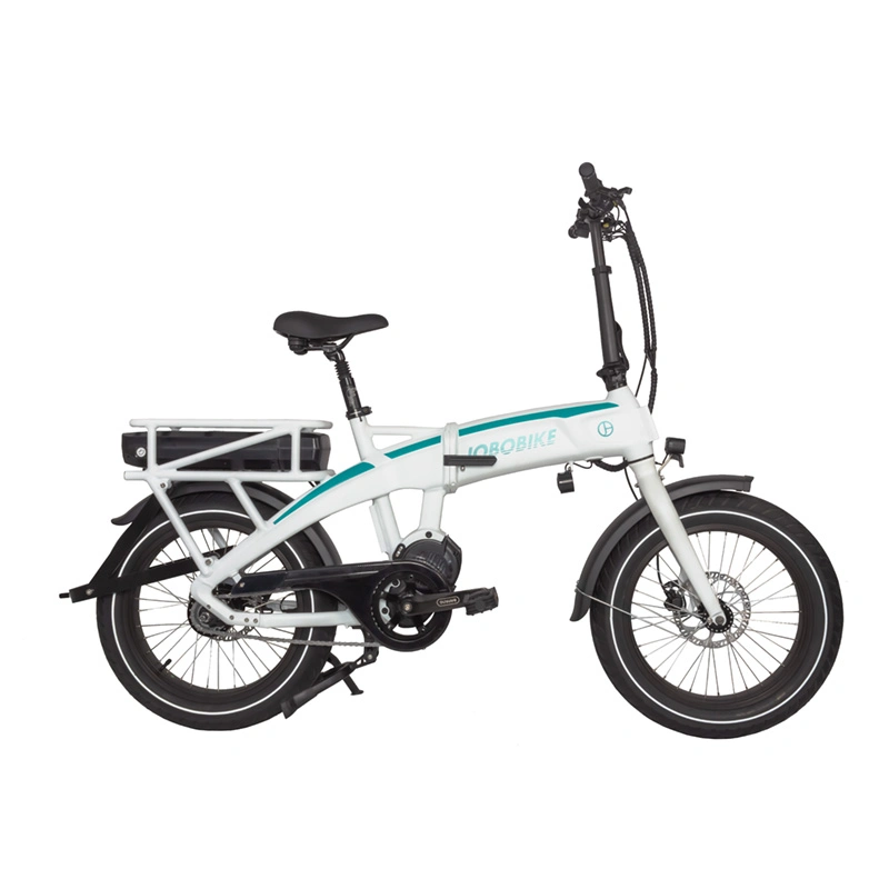 Newly Designed High-Speed 20inch Small 48V 750W MID Motor Ebike Electric Folding Bike