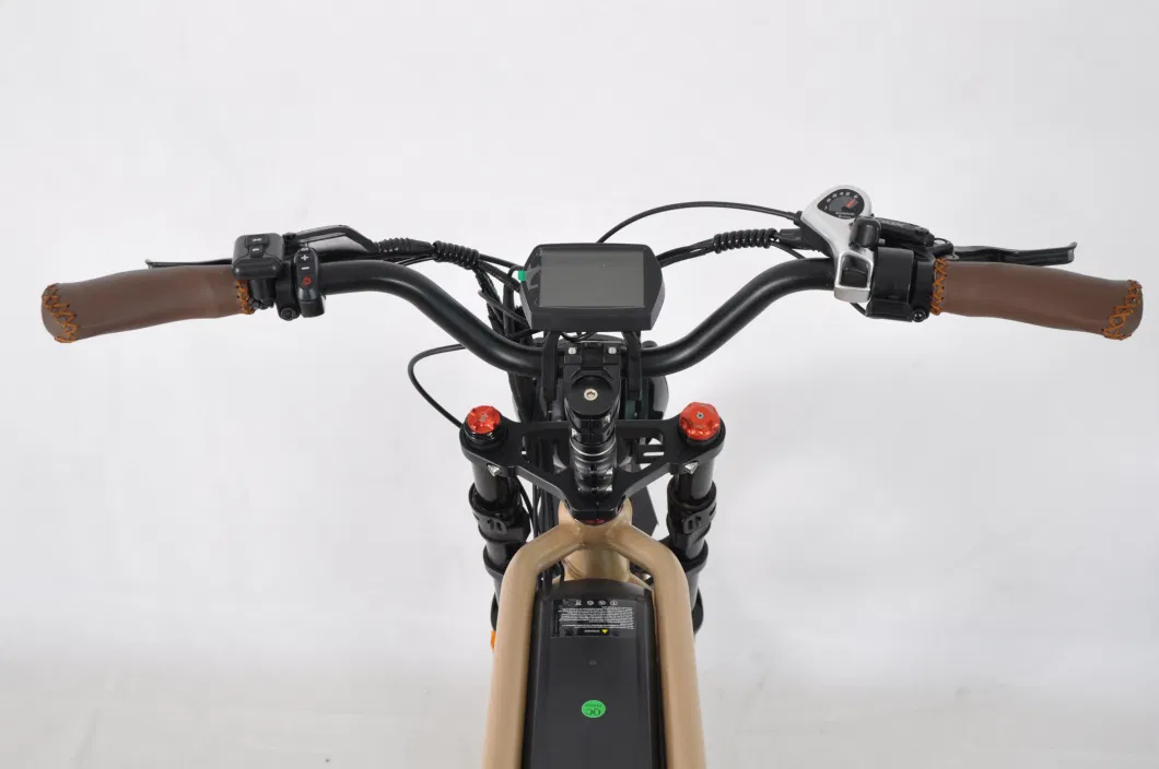 Model Super Performance 48V Green Power Hidden Battery Electric Bike Chinese