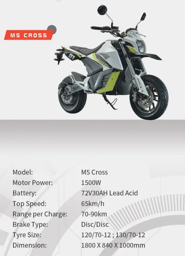 Saige 3000W 72V 32ah 60km/H High Speed Electric Motorcycle