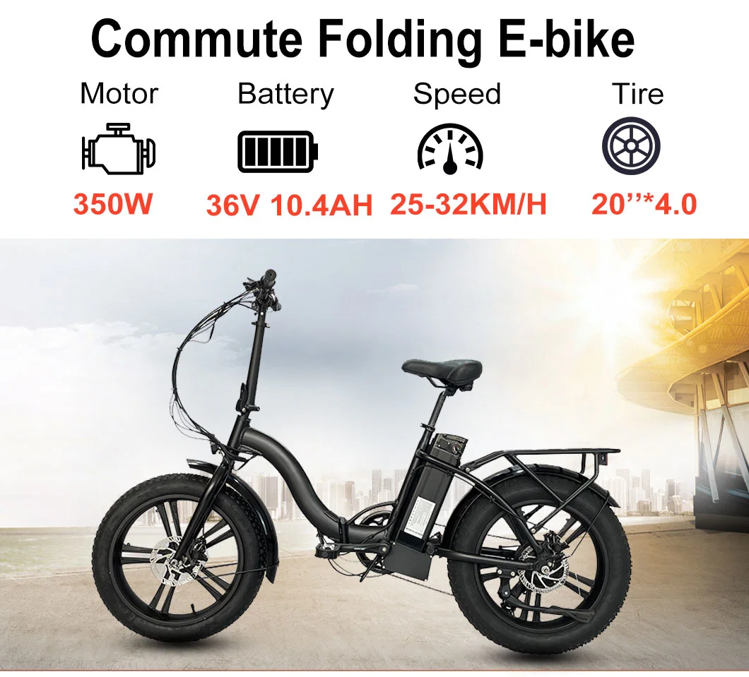 36V350W Brushless Rear Motor Lightweight Electric Bike Electric Motorbike