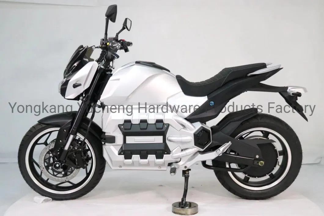 China Electrical Motorcycle for Men Sport Electric Motorcycle