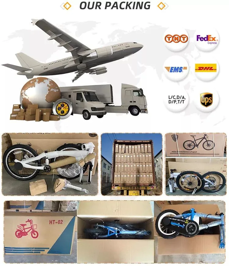 Big Discount 36 V 350 W 21 Speed Two Seat Bicycle Electric Bicycle Ebike