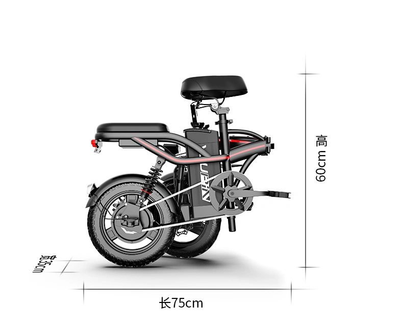 14 Inch Long Range Foldable Electrical Bike for Adult with Li-ion Battery