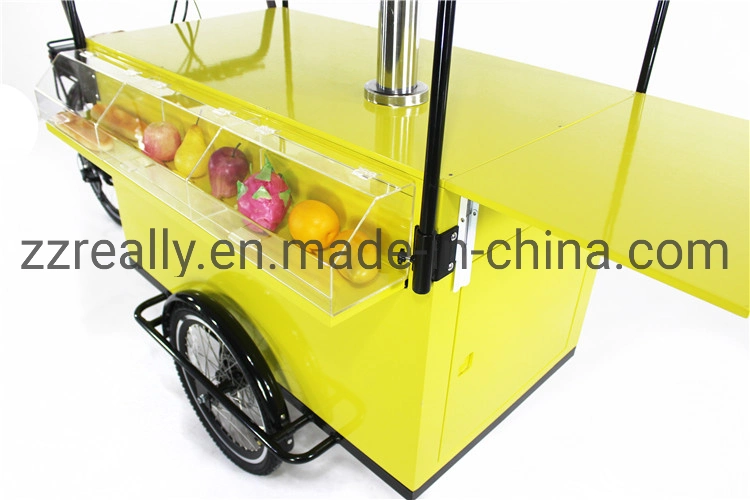 Electric 3 Wheel Beer Bike for Sale with Water Sink