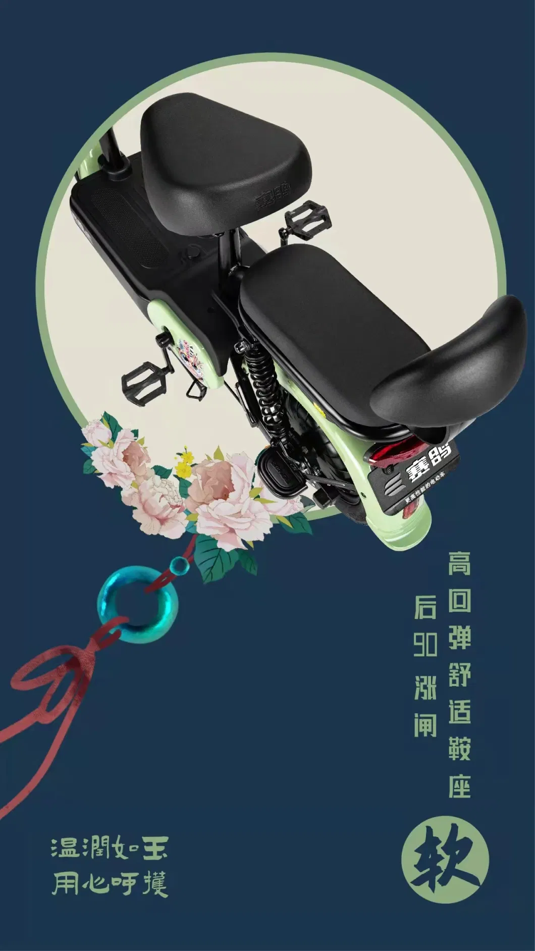Chinese Famous Factory Supply EEC Model Yg Electric Bicycle
