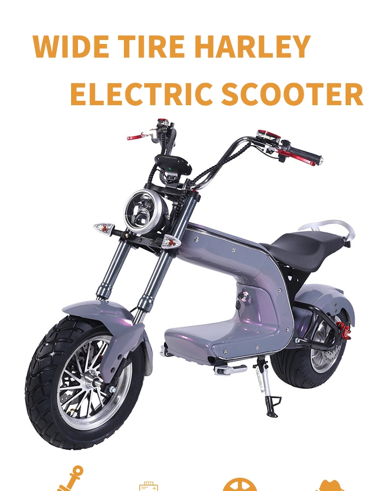 60V 2000W/2500W Electric Scooter Powerful Adults Electric Motorcycle for Sale