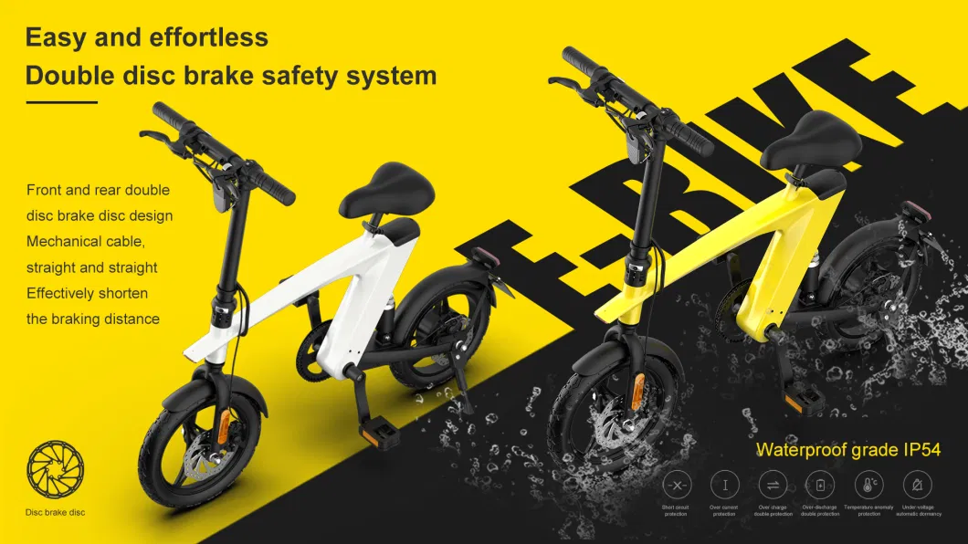 off Road Lightweight Folding Electric Bike with Replaceable Lithium Battery