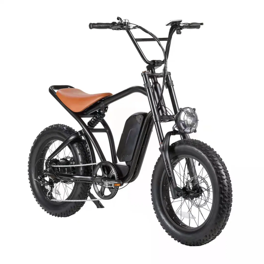 48V Electric Bicycle Ebike 500W Electric Motorcycles for Adults