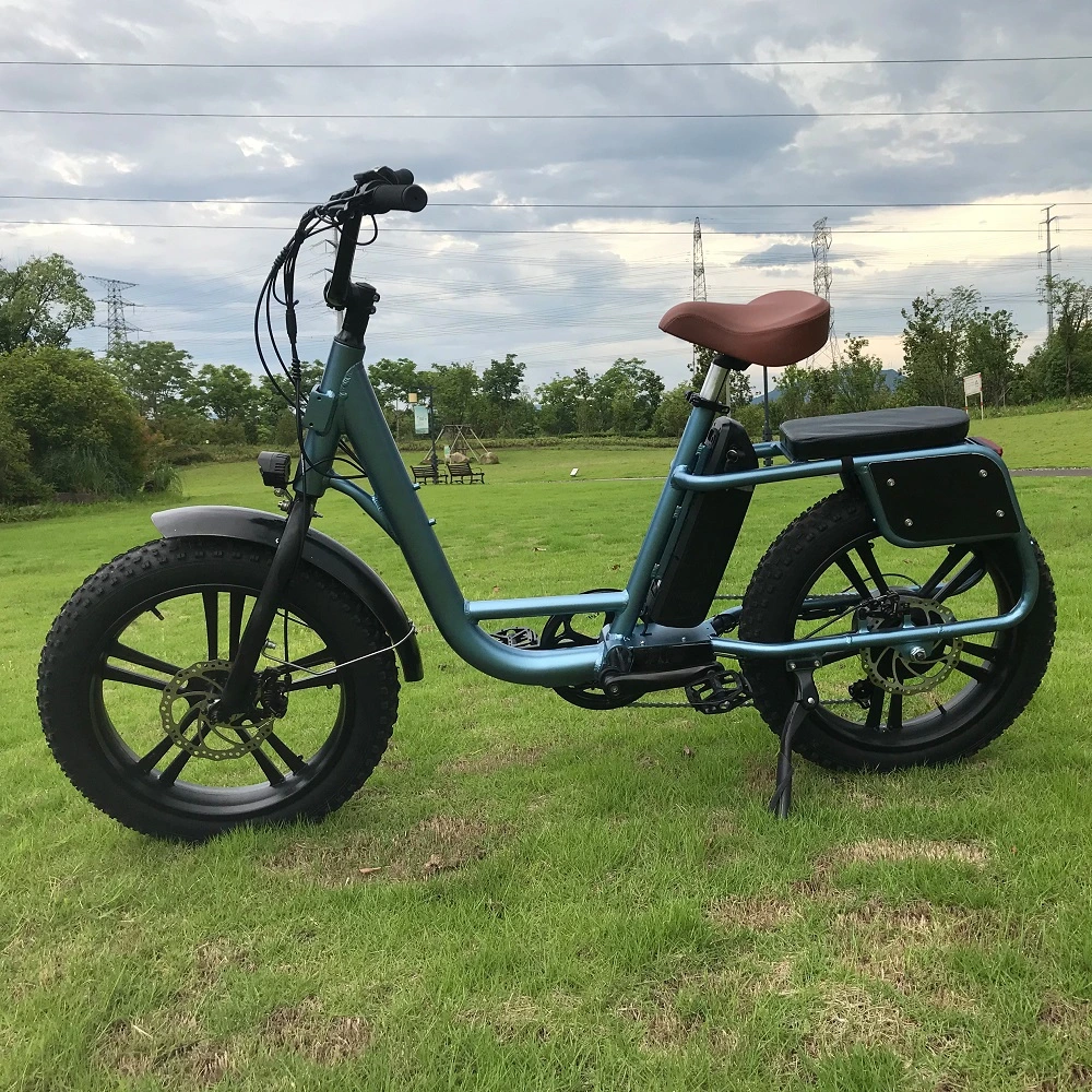 2021 New Design Step Through Fat Tire Electric Bike 5% Discount