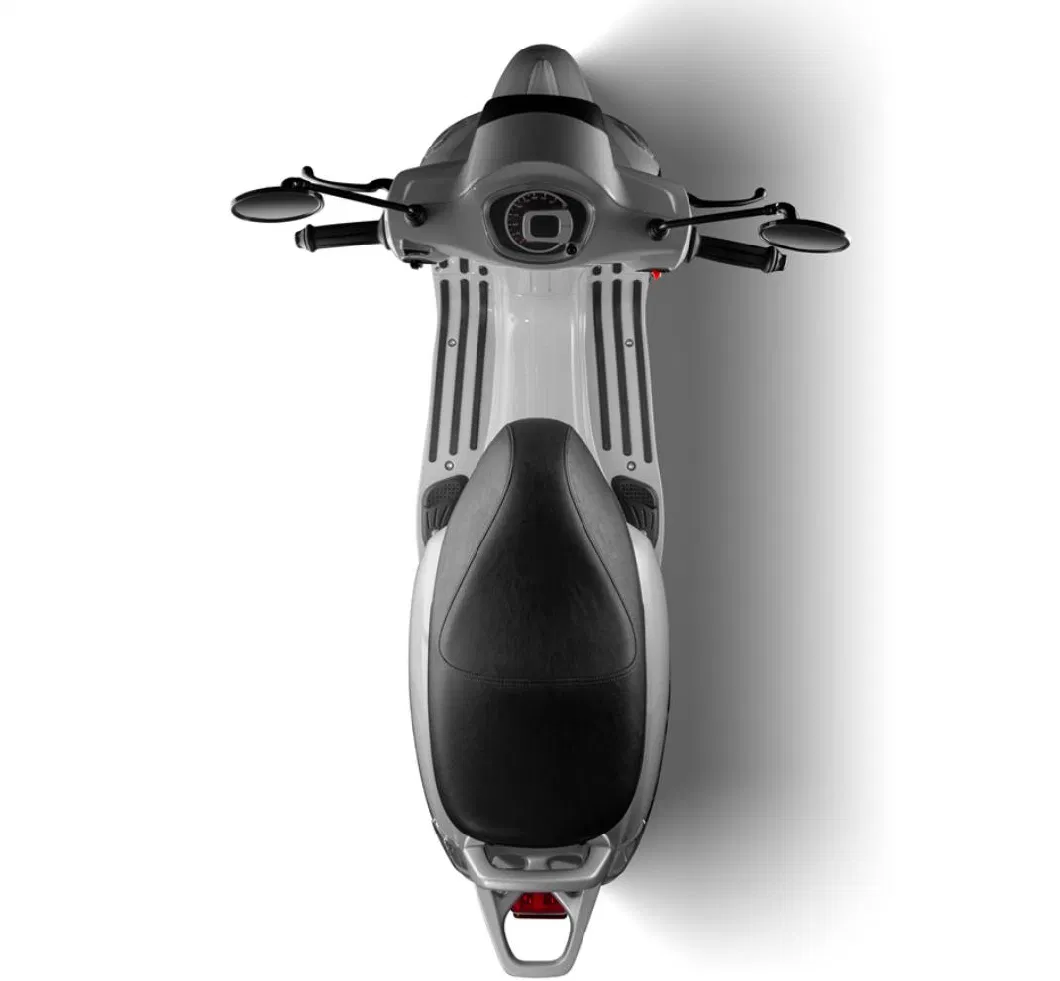 3000W China Electric Bicycle with 40ah Lithium Batteries and The Max Range of 80km for Adults