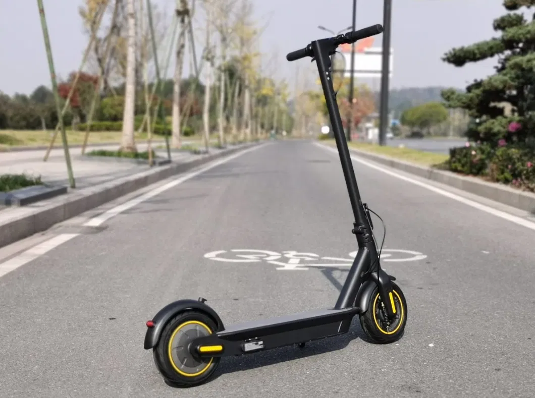 Wellsmove 500W Electric Scooter Manufacturers Sharing Electric Bike Scooter