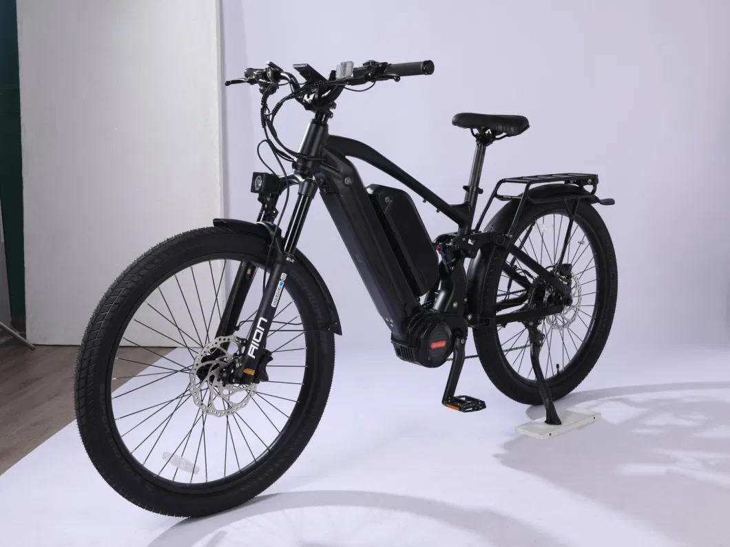 2021 New Design Step Through Fat Tire Electric Bike 5% Discount