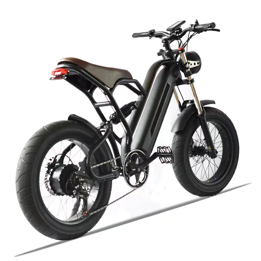 Al 750W 48V Electric Bike Dual Crown Retro Bicycle Motorcycle