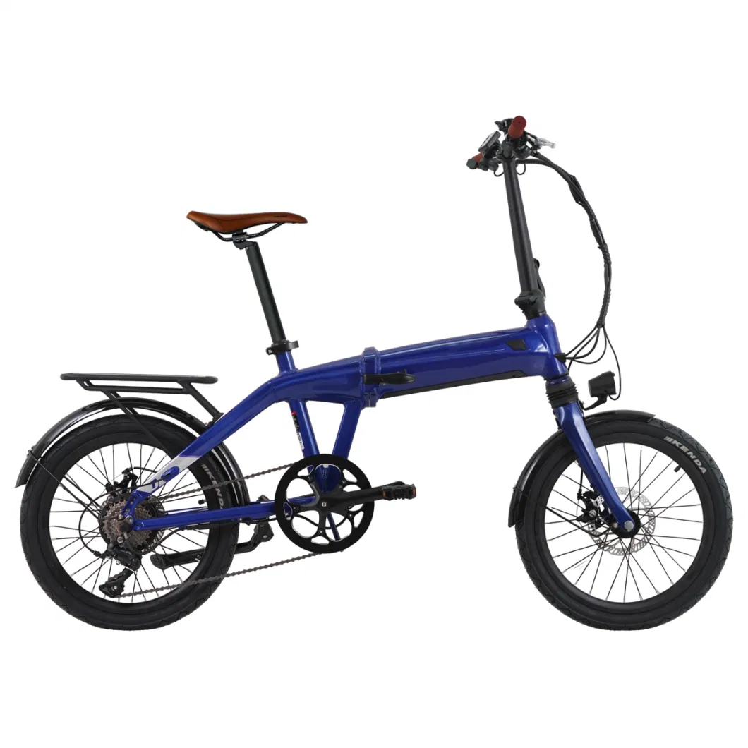Two Wheels Electric Bicycle 350W Motorized Folding Electric Bike with 36V Battery Ebike