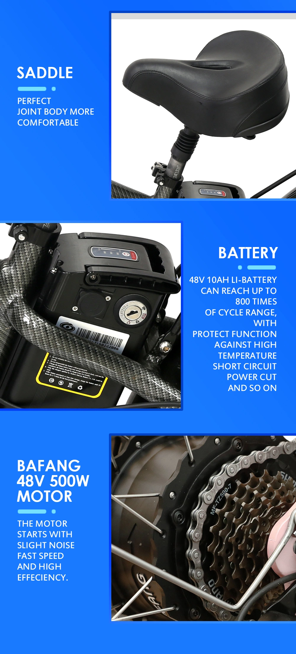 500W/750W Bafun Bafang Motor Fat Tire Mountain Wholesale Electric Bicycle