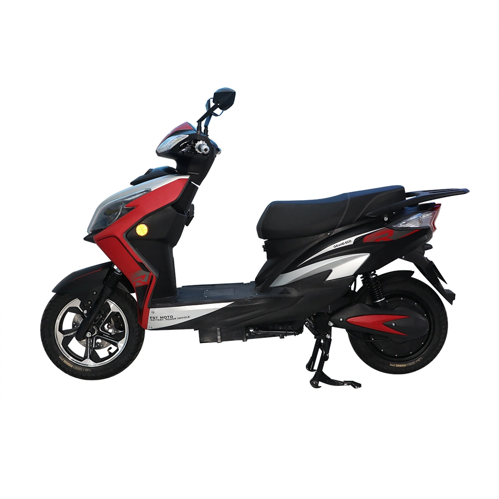 Hot Sell and Powerful Electric Scooter Electric Motorcycle 800W