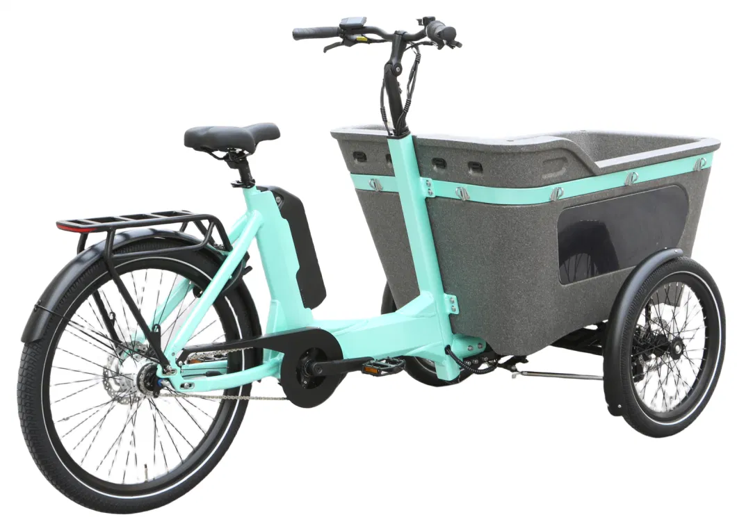 48V250W Cargo Electric Cargo Tricycle Electric Bike for Family with CE