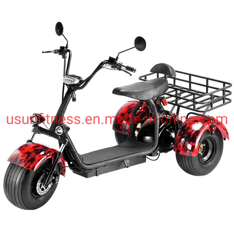 Farmer&prime; S Car Garden Cart Farmer&prime; S Tricycle Cargo Fat Tire Electric Scooter Motorcycle Bike Electric Tricycle Cargo Farmer&prime; S Car with CE