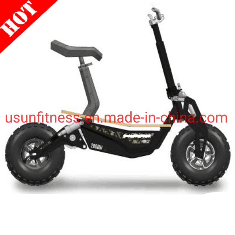 Promotion High Speed Folding Electirc Scooter Adult Electric Bike Electric Bicycle E-Scooter 1000 W 48 V 20 Ah with CE