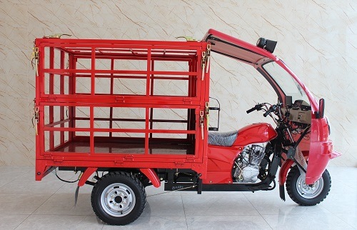 Two Layer Fender Three Wheel Tuk Bike Motorcycle Cargo Gasoline Auto Rickshaw