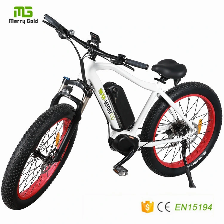 En15194 Approved Middle Drive Motor Electric Bicycle Electric Bicycle