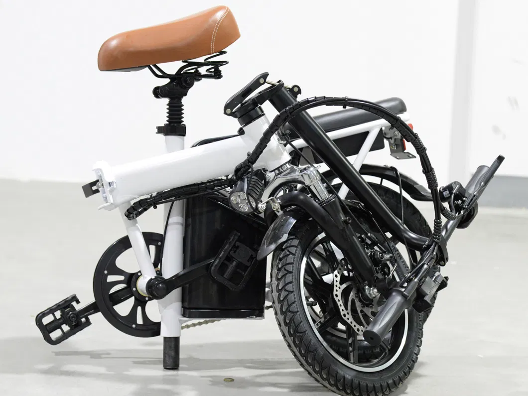 2023 Electric Bike / 48V 250W Fat Tire Foldable Electric Bicycle/ Folding Ebike