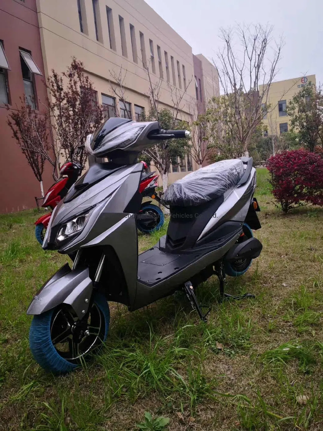 High Powered Electric Bicycle 1000 Watt Electric Motorcycle, Electric Scooty Adult Scooter