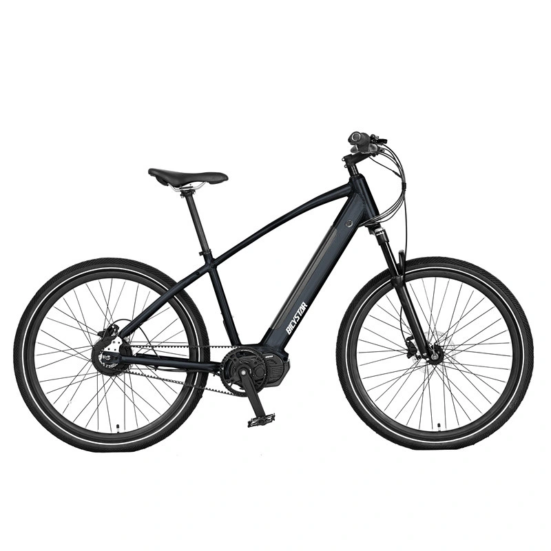 Electric Cycle/Electric Cycle for Adults/Electric Downhill Mountain Bike