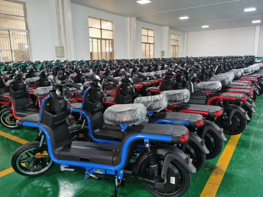 EEC Customization 800W 1200W 2 Two Wheel EV Metal Long Range Delivery Bike Dual Batteries E Motorcycle Electric Scooter with Strong Frame