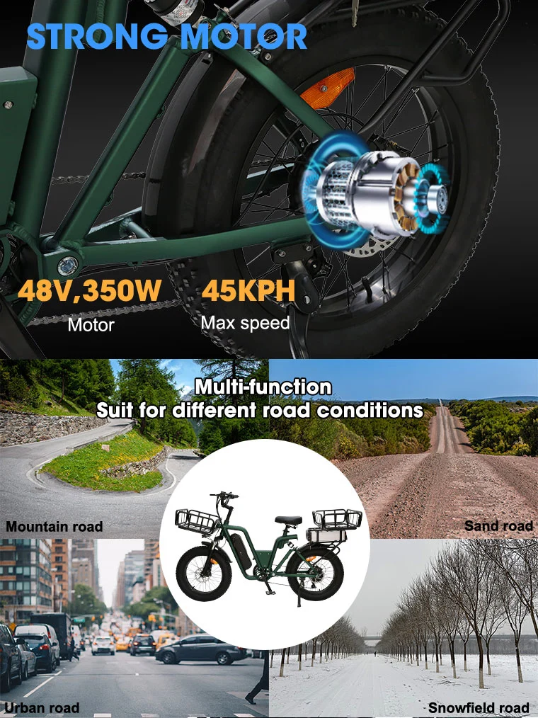 Disc Brake 20inch Motorcycle Light Mountain Bicycle Dirt Electric Bike 750W E-Bike