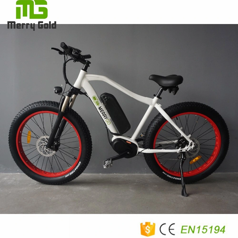 En15194 Approved Middle Drive Motor Electric Bicycle Electric Bicycle