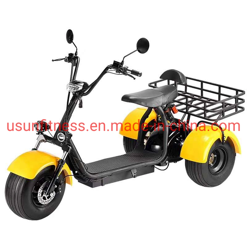 Farmer&prime; S Car Garden Cart Farmer&prime; S Tricycle Cargo Fat Tire Electric Scooter Motorcycle Bike Electric Tricycle Cargo Farmer&prime; S Car with CE