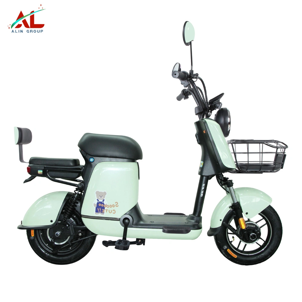 Hot Sell Electric Bike E Bike Battery Bike with Pedal