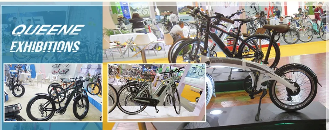 Queene/Bafang 500W/750W/1000W 26 Inch Fat Tire Electric Mountain Bike Snow Cruiser E Bike