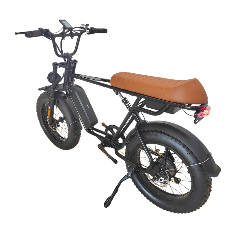 Popular New High-Quality 20 New Fat Tire Electric Bike